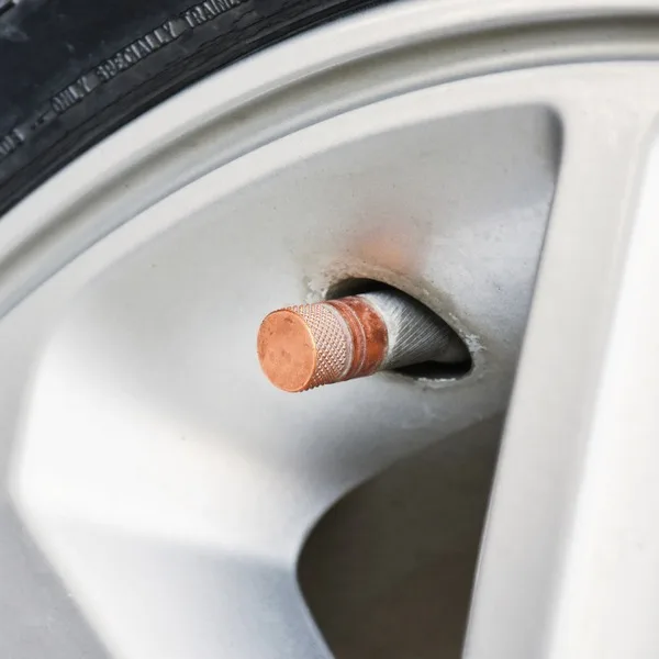 Valve stem service point